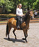 Christi White at Angels on Horseback Demo 