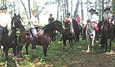 Our trail riders group