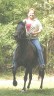 Pam Borst on Paso Fino mare Gally at the Driving Magic Fundrasier -- October 2006