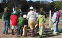 Dream Powers Fall Festival