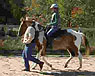 Dream Powers Boyd & Porcy gives a Paso Fino test-ride