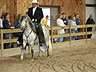 Paso Fino demo ride