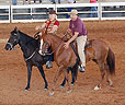 GPFHA Members and their Paso Finos 
