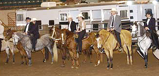 GA PFHA members enjoy participating in a variety of events with their Paso fino horses.