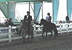Kim Willis & Benjamin Rivera give Paso Fino exhibition 