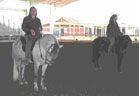 Congrats to Suzanne on her first ride  in the show ring