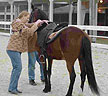 How to conduct a Demo ride - step 1