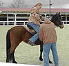 How to conduct a Paso Fino demo ride - Step 2