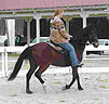 How to conduct a Paso Fino Demo ride - Step 3