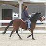 Kathy's first ride on a Paso Fino