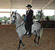Gainesville, GA GPFHA Show