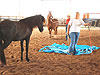 2006 Parelli Fun Day -- Conquering the Tarp 