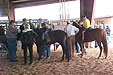 Demo Rides at 2006 Open House