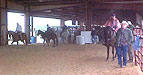 Ready to Ride at 2006 GPFHA Open House
