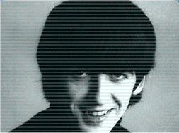 Click to visit George's website!