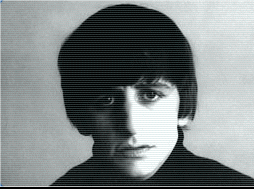 Click to visit Ringo's website!