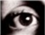 Eye see you...PAUL!