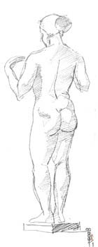 prosopo_GYMNO_markad_05