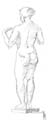 prosopo_GYMNO_markad_05