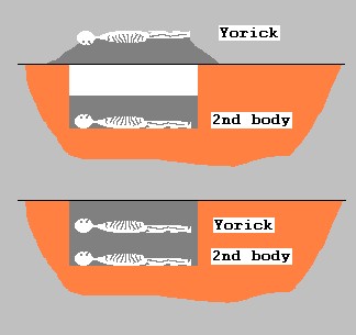 first new body
