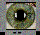 images.gif