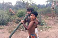 <<<Essas crian�as s�o de outras etnias... em Parinintintim em HUMAIT�-AM, para mera ilustra��o>>>