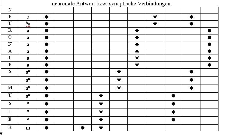 neuronMuster1b