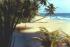 Une plage paradisiaque au
Venezuela