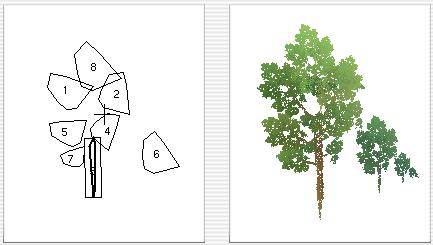 Une rang�e d'arbres