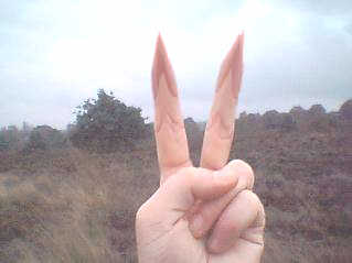 Peace to all Elves!