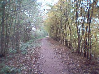 Lovely trail