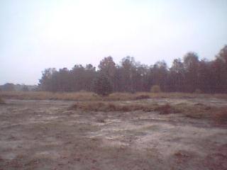 Sandy ground