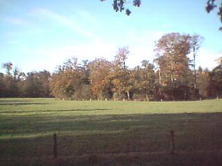 Fall has began