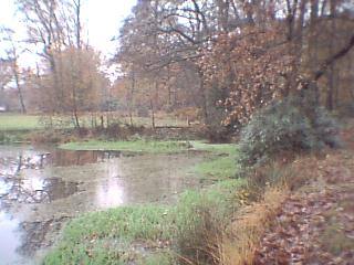 A tiny lake