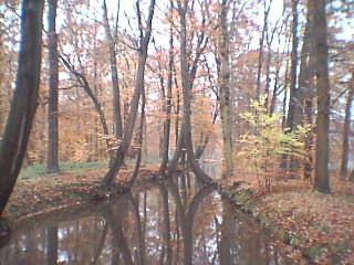 A gorgeous creek