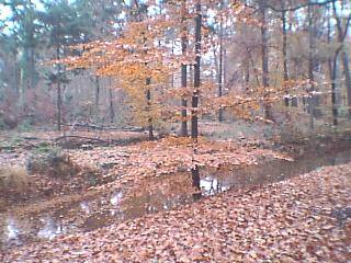 And more water...