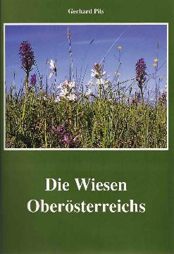 Wiesenvorderseite.jpg