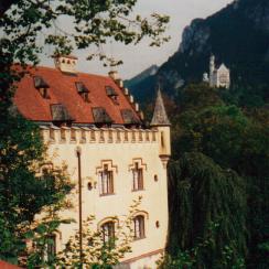 2in1.jpg (15362 bytes)