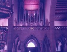 Organ