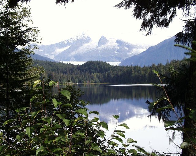Mendenhall Glacuer from Juneau