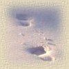 Footprints