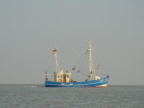 Kutter_Gelbsand