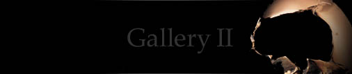 Gallery II