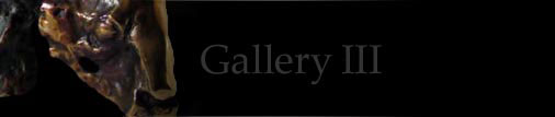 Gallery III