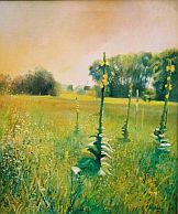 obraz olejny/oil painting/2005