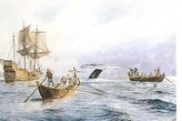 La caza de la ballena