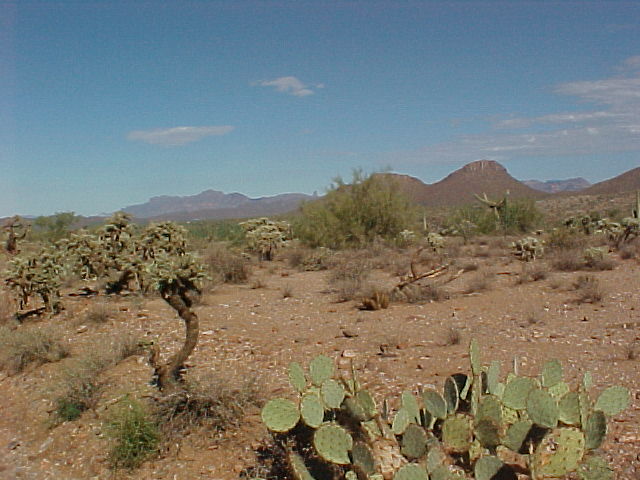 ahhh!&nbsp; the desert...