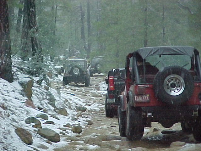 This is Prescott Nat'l Forest