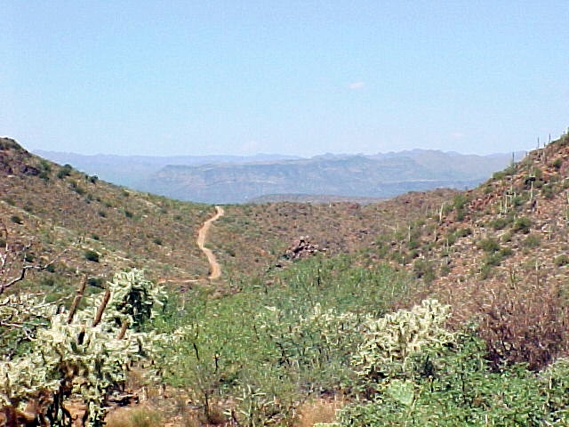 the next section is downhill
