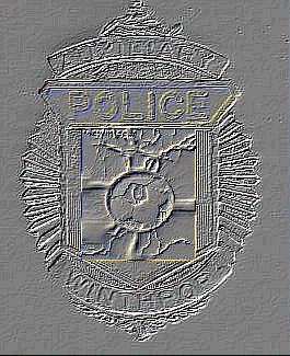 Preliminary Application Info